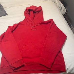 Aritzia Boyfriend Hoodie
